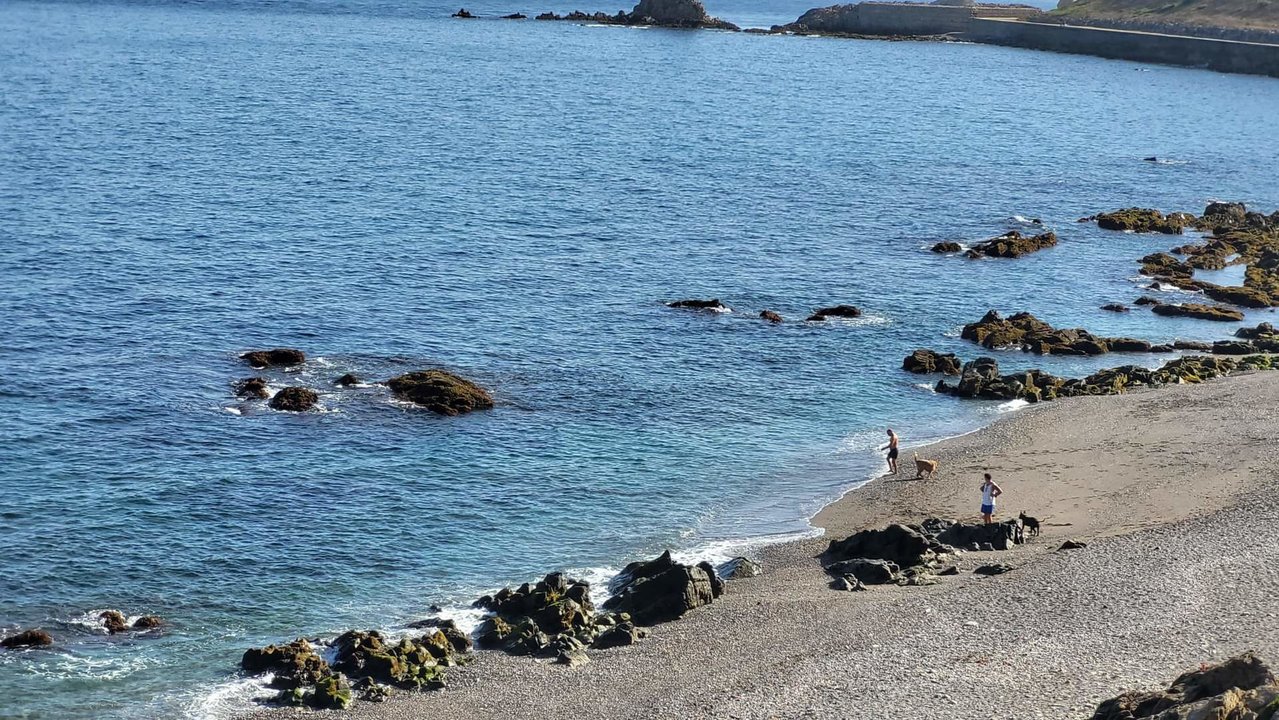 Playa de perros