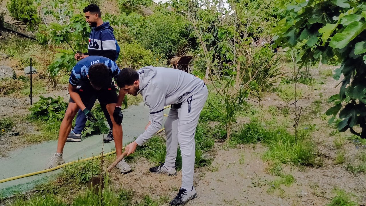 Abdellah Mustafa, presidente de la barrida de Sidi Embarek, trabajando en el huerto urbano