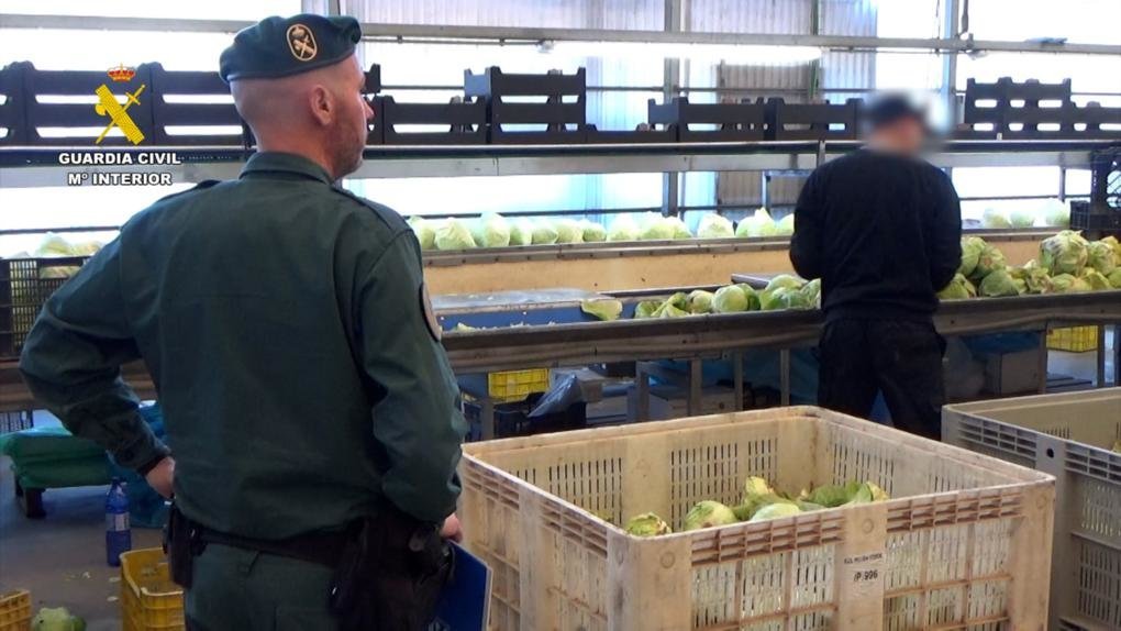 Los agentes, durante la operación policial (GUARDIA CIVIL)